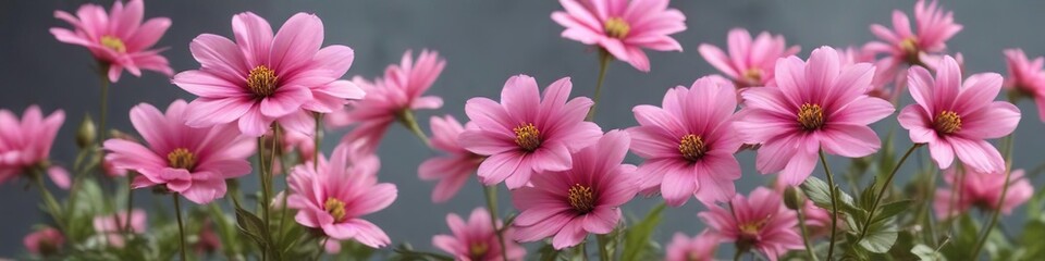 Colorful pink flowers blooming on a soft focus background with subtle texture , dynamic, soft focus, garden