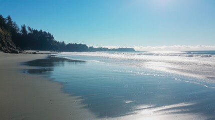 Obraz premium Tranquil Beach Landscape with Gentle Waves and Clear Sky