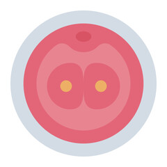 Zygote Cell Division flat icon for reproduction
