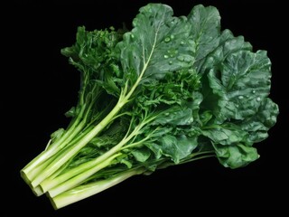 Closeup of fresh green leafy vegetables with glossy texture, large ovalshaped leaves, and two visible stems on a black background.