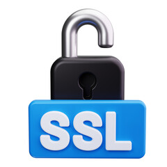 ssl 3d render icons