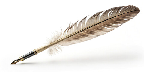 Quill Pen: A Touch of Elegance