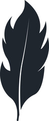 Black Feather Silhouette on White Background. Vector Illustration