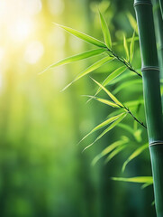Close-up of bamboo forest, centered composition, natural artistic conception