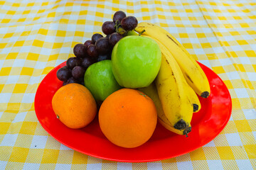 Fresh fruits on the red plate on a yellow and white checkered fabric for picnic