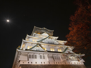 月夜の大阪城