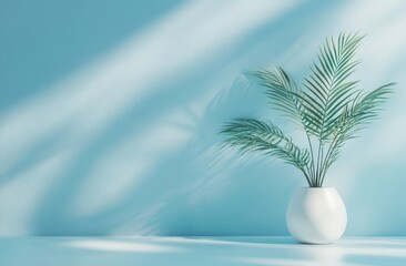 Minimalist blue room with palm plant in white pot.