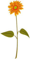 sunflower vector