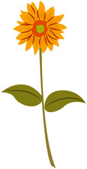 sunflower vector