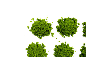 Fresh water alga, water meal or swamp algae