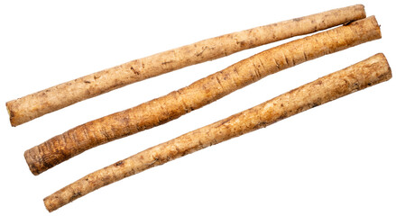 Gobo or Burdock Root herb medicinal plants isolated on white background. Kobo herb on white background PNG file.