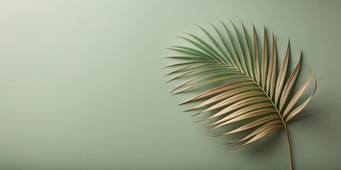 Fototapeta premium Serene Palm Frond on a Soft Green Background, Perfect for Minimalist Designs and Natural Textures