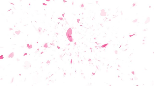 Falling red rose petals seasonal confetti, blossom flying background for Valentine's day, St. Valentines Day, Mother's day, Wedding anniversary invitation e-card. Hearts motion Valentine day Greeting