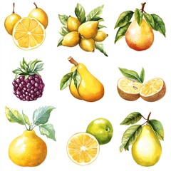 Obraz premium Watercolor clip art of Vibrant collection of hand-painted fruits including lemons, pears, and blackberries with green leaves.