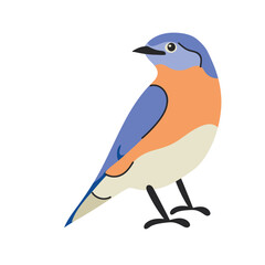 Eastern bluebird clipart avatar logotype isolated illustration