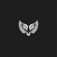 Obraz premium Symmetrical white wings on black background.