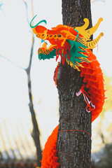 dragon, Chinese dragon,