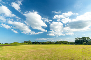 広がる青空と大地の息吹