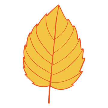 Fall Autumn Leaf Cliart