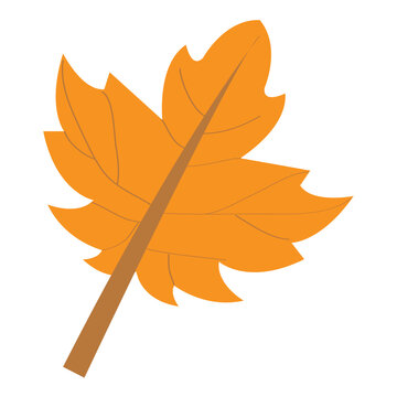 Fall Autumn Leaf Cliart