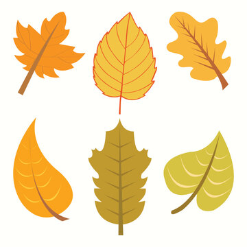 Fall Autumn Leaf Cliart