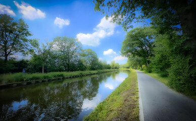 Fototapeta premium A serene and tranquil canal scene featuring a beautiful treelined pathway beneath a bright blue sky