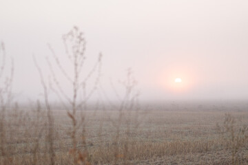 Sunshine in the stage from El Burgo Ranero to Tarridos de los Templarios on the Camino de Santiago in 2024