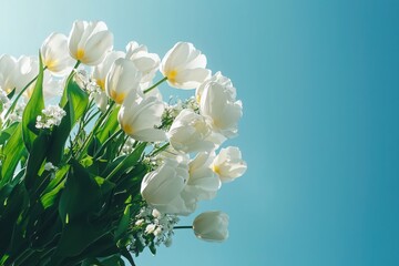 Fototapeta premium Captivating display of white tulips floral arrangement home decor serene environment floral composition emphasizing simplicity and elegance