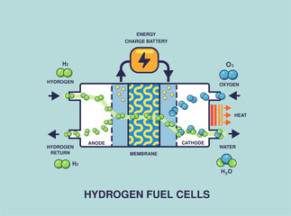 Vector illustration of Hydrogen fuel cells work principle with solid color
