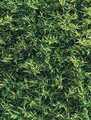 Green leaf close-up