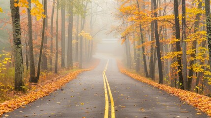 Fototapeta premium Autumn Road in Foggy Forest
