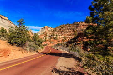 A road with a red stripe and trees in the background