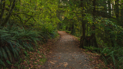 TransCanada Trail at Burnaby Mountain, BC,  near Simon Fraser University.
