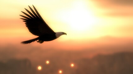 Fototapeta premium Majestic Eagle Soaring at Golden Sunset