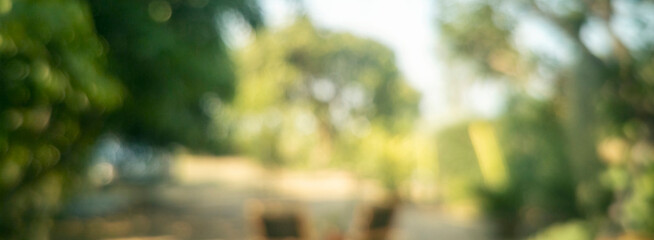 Banner Blur background green park garden nature bright sunny forest. Blurry outdoor park in spring...