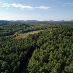 Obraz premium Aerial View of Sustainable Forestry Practices