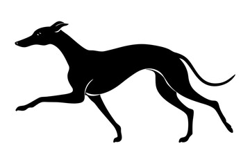 Silhouette of a Greyhound Mid-Run with Slender Body