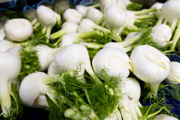 fennel processing line, plastic crates ready for sale