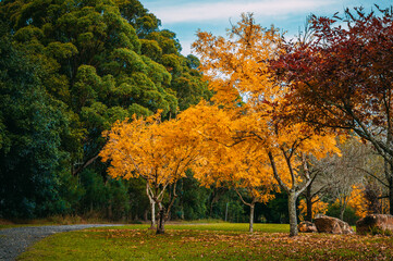 Fagan Park is a large recreational area located in Galston, a semi-rural area in Sydney, New South Wales, Australia. 