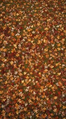 A blanket of fallen leaves covers the ground in the meadow, soft and rustling beneath feet, earthy tones, autumn leaves, leaf pile