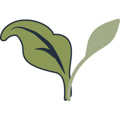 vector green leaf icon