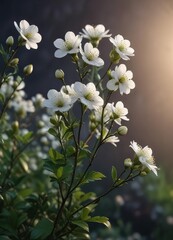 Small white flowers on a dark green stem at dawn, evening flower, flowering tree branches, small white flowers