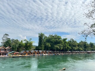 beach with trees