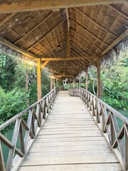 wooden bridge in the forest