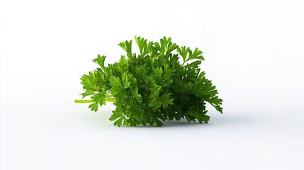 Fototapeta premium Parsley isolated on a white background