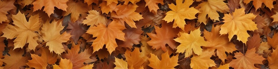 Fototapeta premium Layered maple leaves in shades of golden brown and orange, warm lighting, orange hues, natural textures