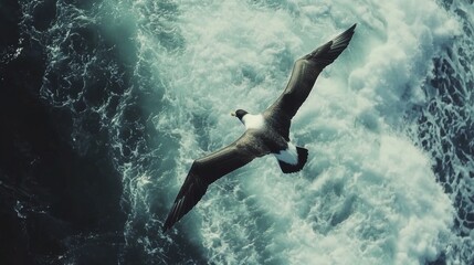 Obraz premium A seabird soars above turbulent ocean waves.
