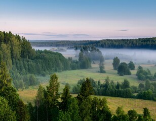 Forest and Field Landscape with Morning Mist