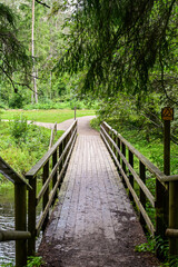 Fototapeta premium Wooden bridge on the Hiking trail on the Taevaskoda hiking trail in the forest in summer near Taevaskoda Põlva, Polwa, Saesaare-Taevaskoja, Estonia 