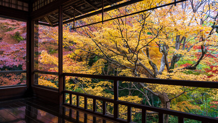 Beautiful Kyoto autumn leaves